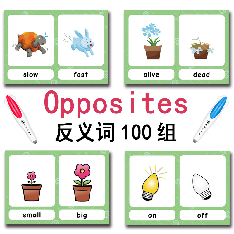 The 100 Groups Opposites Flash - Kids Education And You recensione e prezzo
