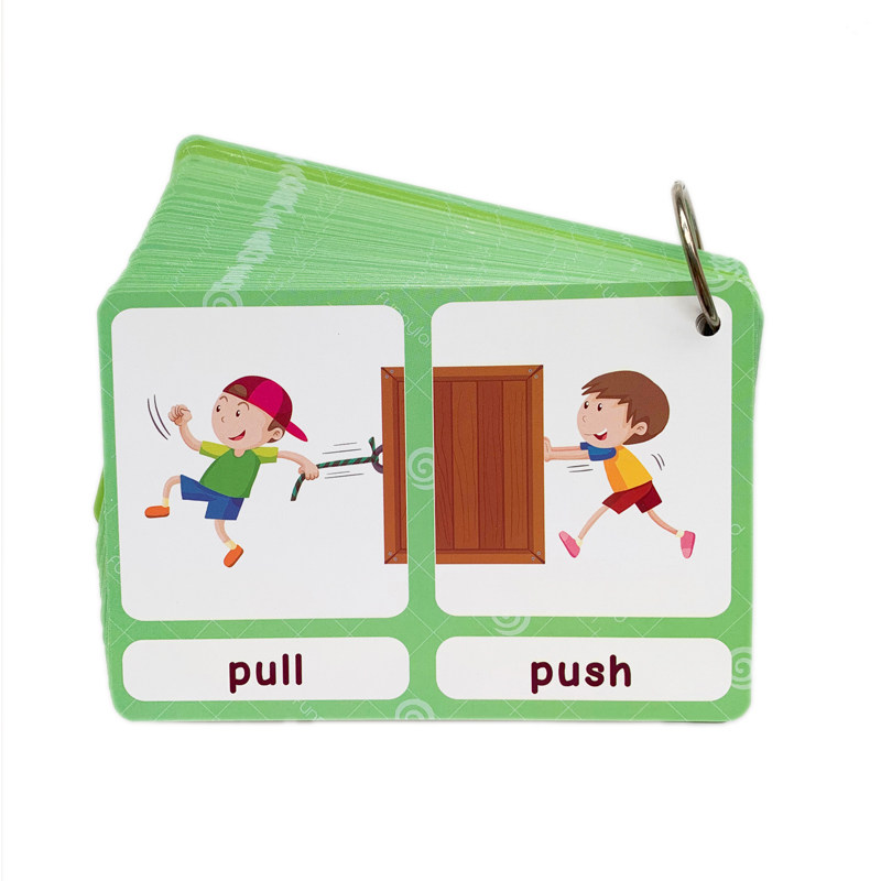The 100 Groups Opposites Flash - Kids Education And You recensione e prezzo