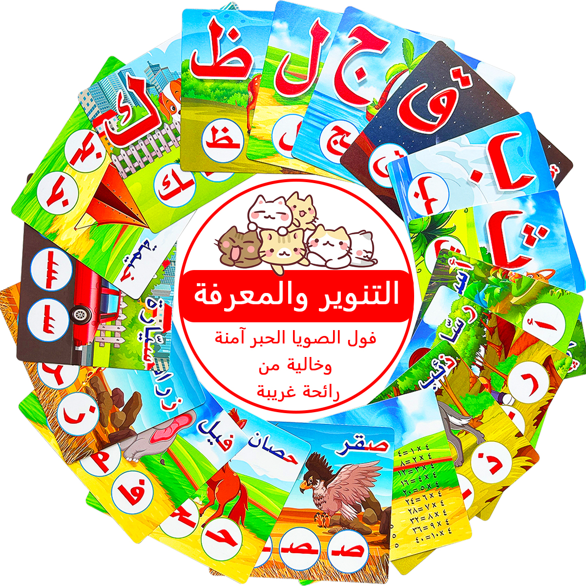 Early childhood enlightenment  - Flash Card Alphabet recensione e prezzo