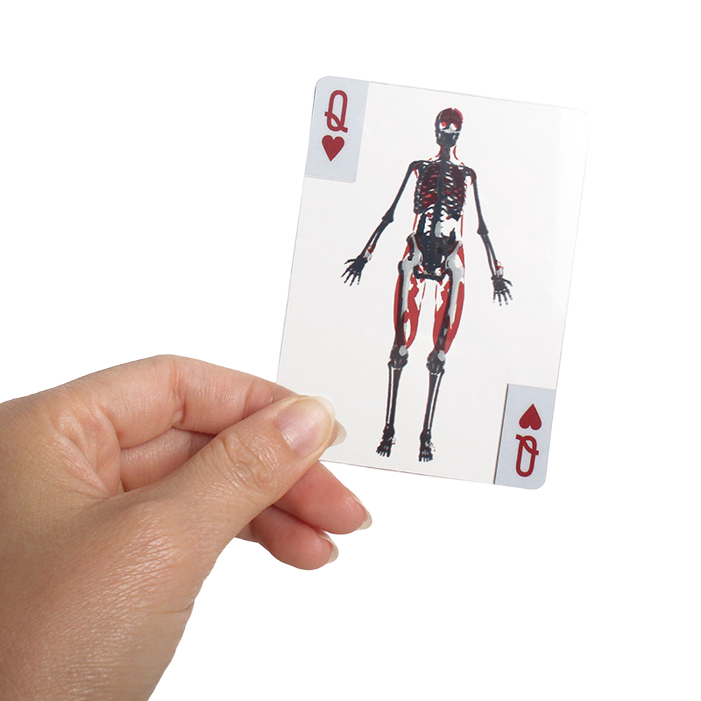 3D Image Educational Cards Wea - Kids Education Images recensione e prezzo
