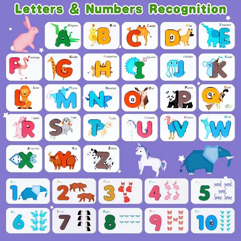 Montessori Alphabet Numbers Fl - Flash Card Alphabet recensione e prezzo