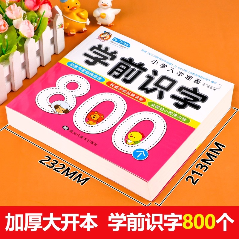 Preschool Literacy: 800 Chines - Kids Education Books recensione e prezzo