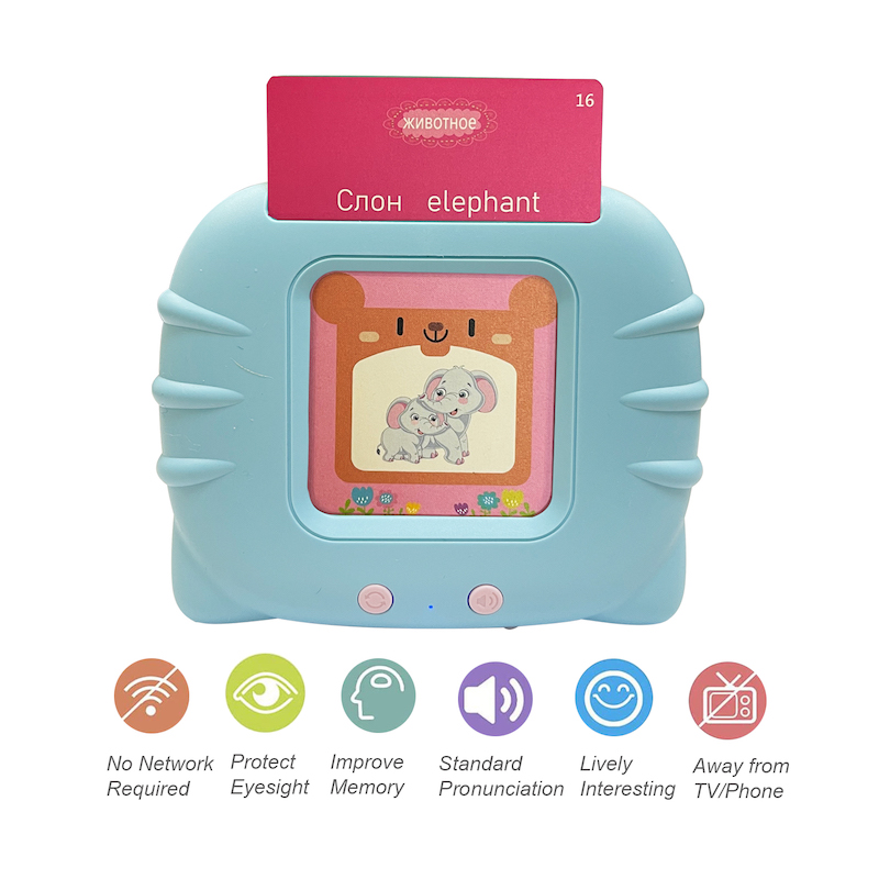 Russian English Taking Flash C - Flash Card Alphabet recensione e prezzo