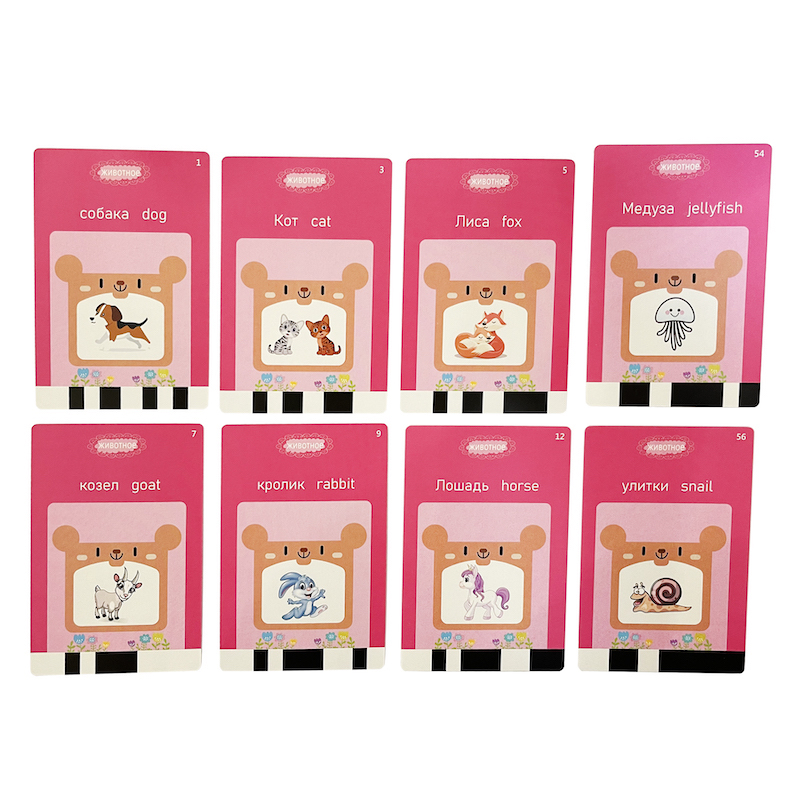 Russian English Taking Flash C - Flash Card Alphabet recensione e prezzo