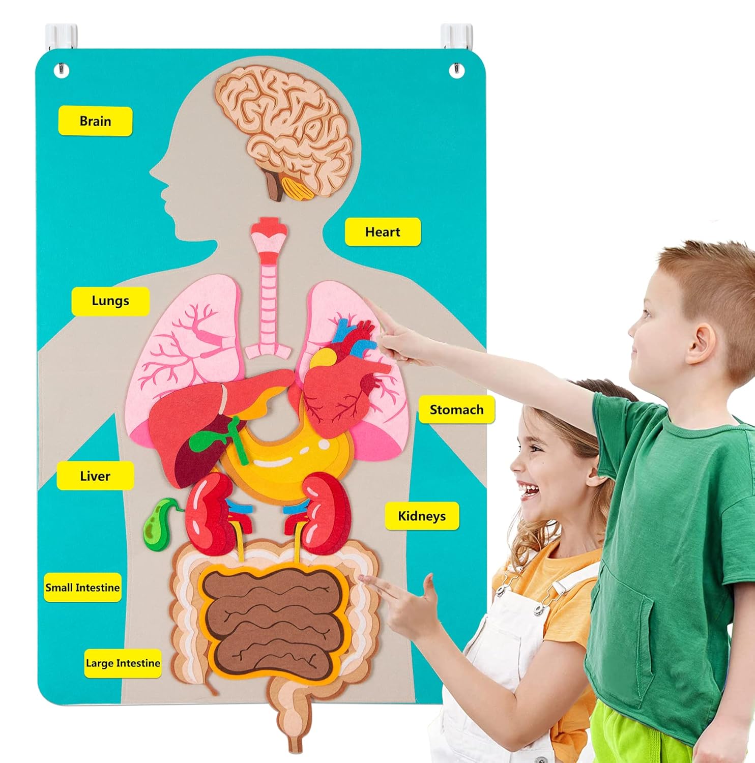 Human Body Parts Felt Board St - Kids Education Story recensione e prezzo