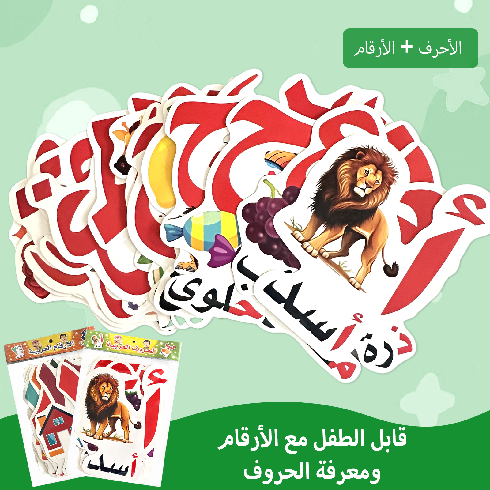 Arabic Alphabet And Number Fla - Flash Card Alphabet recensione e prezzo