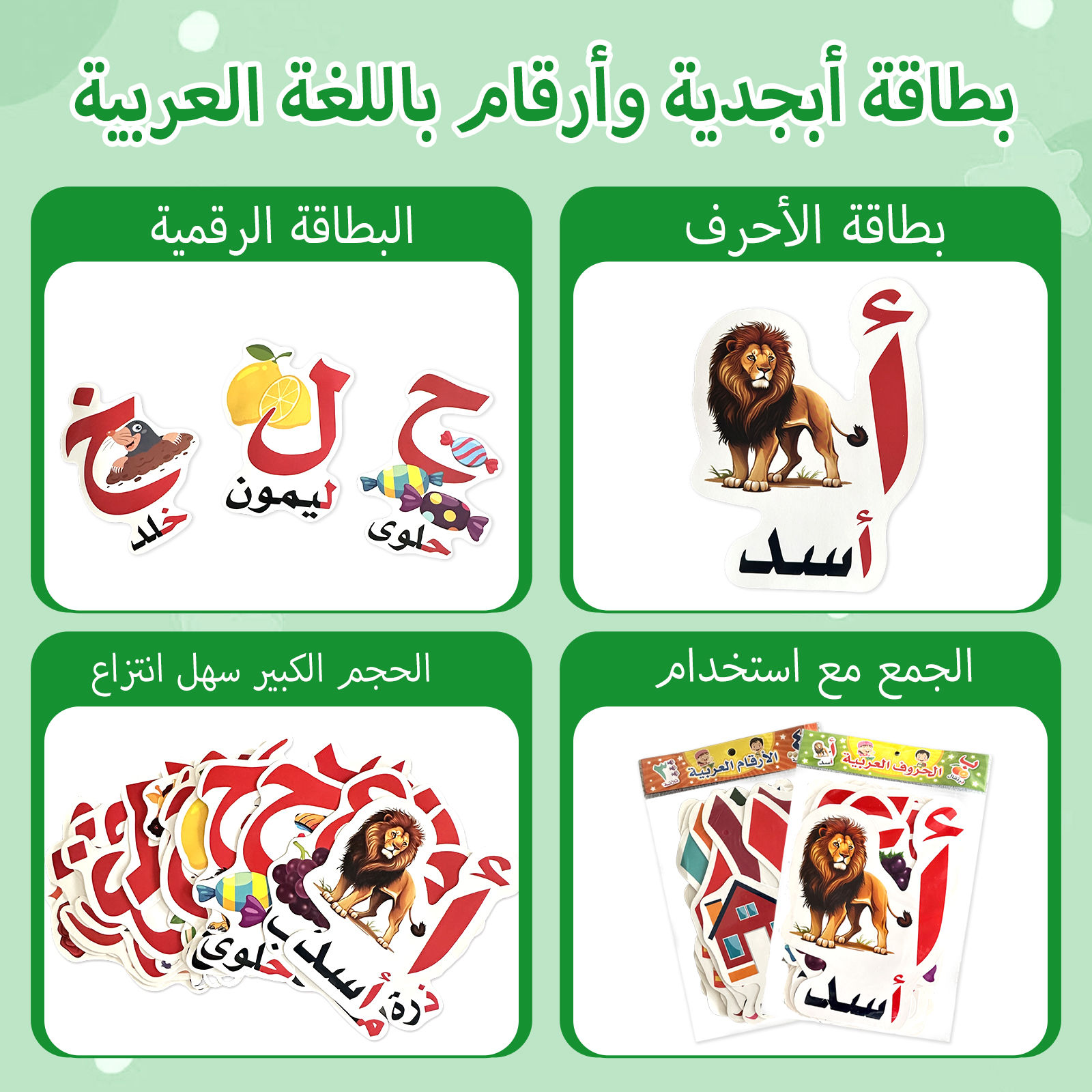Arabic Alphabet And Number Fla - Flash Card Alphabet recensione e prezzo