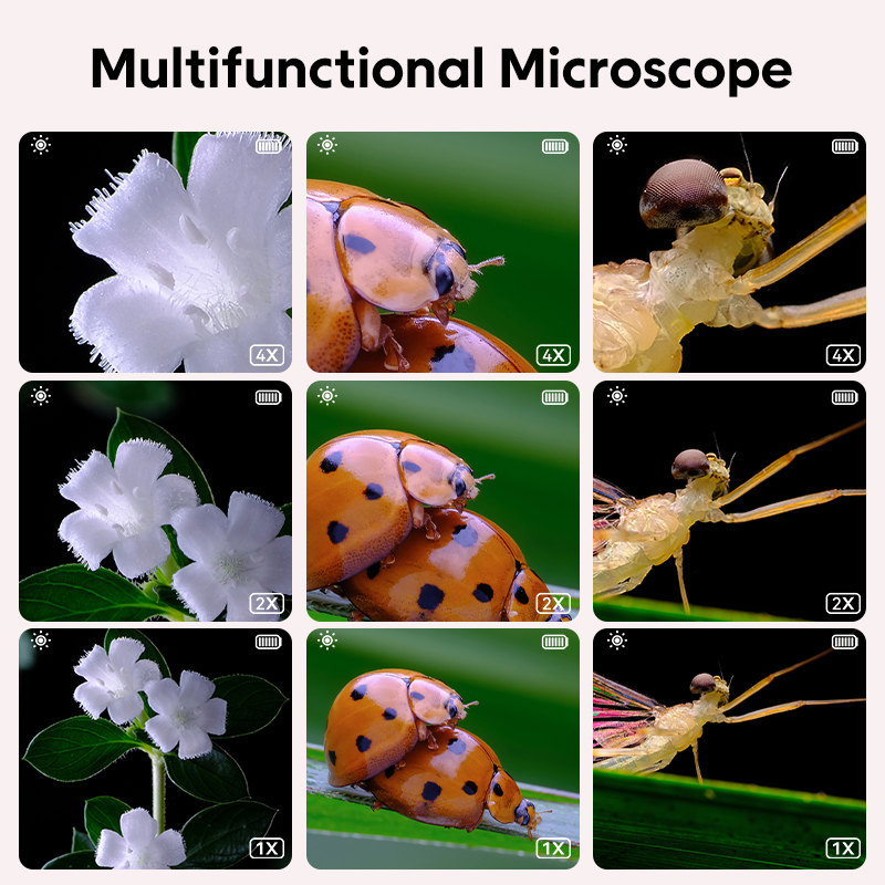 Mini Kids Optical Microscope W - Kids Education Video recensione e prezzo