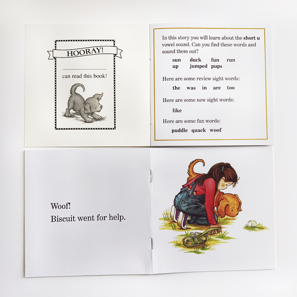 Biscuit I Can Read Phonics Sto - Kids Education Story recensione e prezzo